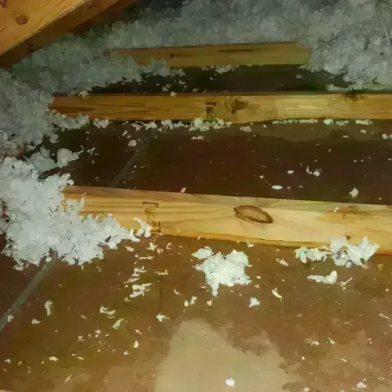 Attic Water Damage in Reed City, MI