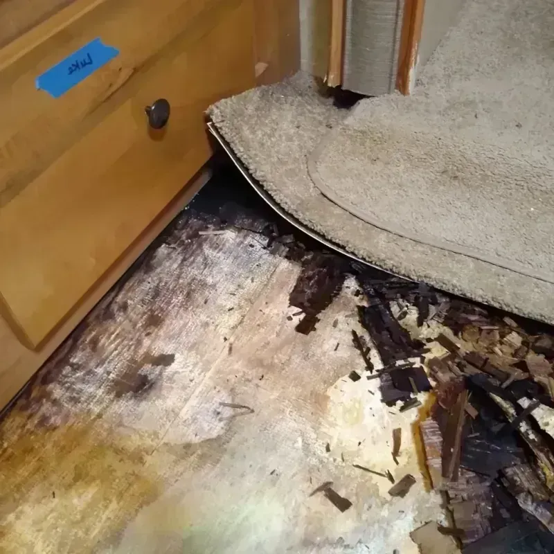 Wood Floor Water Damage in Reed City, MI